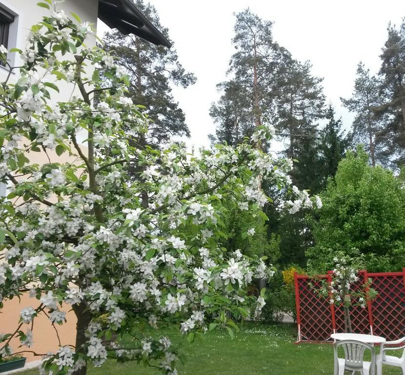 Ferienwohnung Kerth Sankt Kanzian am Klopeiner See Buitenkant foto